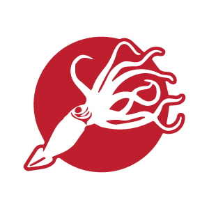 美國 SQUID
